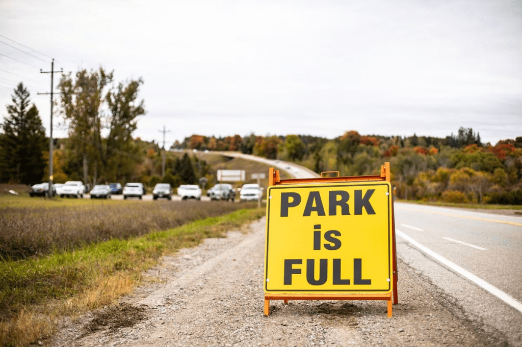 Eighty-seven per cent of respondents to a COVID-19 business impact survey reported a loss of revenue, and 41 per cent indicated losses of 75 per cent or more.
KATE DOCKERAY/THE GLOBE AND MAIL